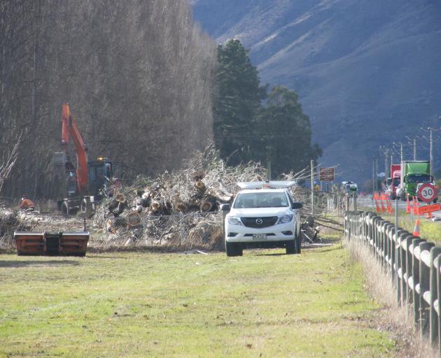 Contractors remove poplar trees from the side of SH6 near Cromwell earlier this year. PHOTO: ADAM...