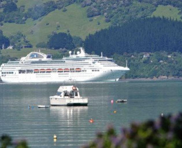 A report has found further research is needed to investigate whether cruise ship propellers and anchors are causing environmental harm to Akaroa Harbour.