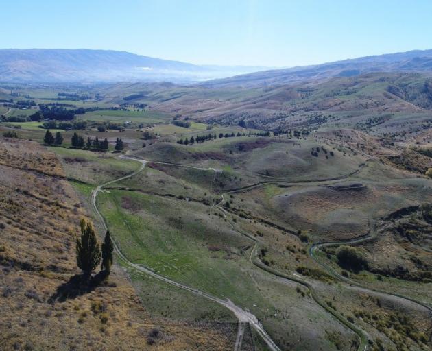 Happy Valley Station, a 2265ha high country merino operation near Cromwell, is expecting good interest from buyers. Photo: PGW