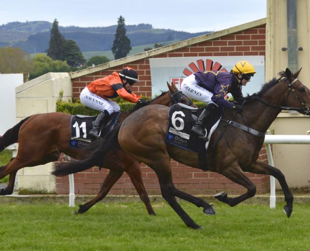 Havana Heights and rider Courtney Barnes beat Fire Katyusha and Samantha Wynne, in one of three...