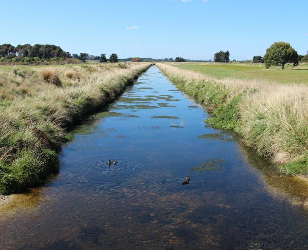 Southland’s Waihopai River, near Invercargill, has been named  most improved river in the 2019 NZ...