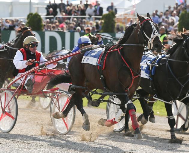 Mostly fine weather is forecast for New Zealand Cup and Show Week which starts on Tuesday.