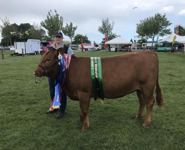 Julie Eden, of Balfour, was delighted when the family’s entries in the New Zealand Agricultural Show performed so well. Java Tonka Nikita won the Junior Meat and Wool Cup, as well as best Junior Heifer in Show, the Grand Champion Junior South Devon, the I