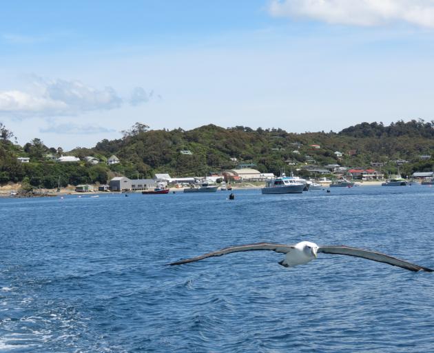 Stewart Island businesses are optimistic about the Government’s $3.16million grant from the...