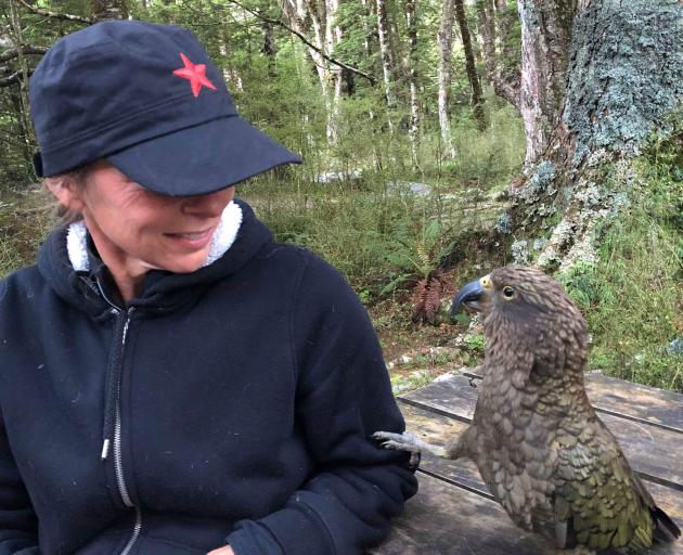 Kea Conservation Trust co-founder and chairwoman Tamsin Orr-Walker comes face to face with a kea...