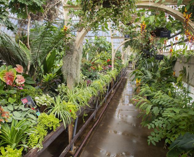 The Botanic Gardens. Photo: Geoff Sloan 