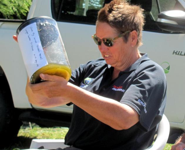 Mid Canterbury's Kai Tegels checks out drone fly larvae specimens during the Drone Flies and Pollination session at the Foundation for Arable Research’s arable research in action day recently. Photo: Toni Williams