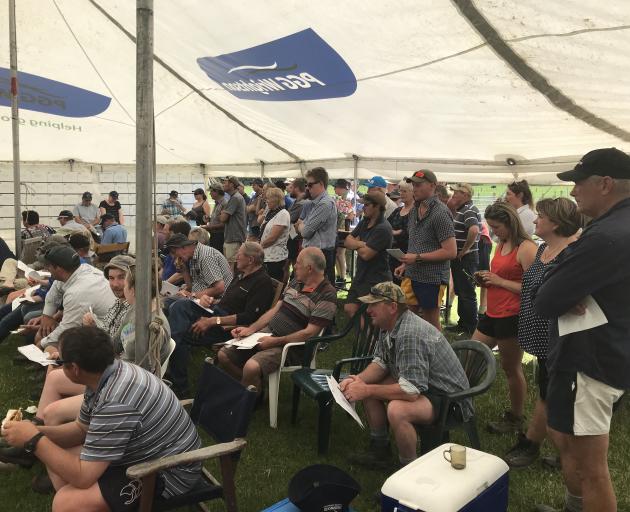 Some of the crowd at Meadowslea’s ram sale in South Canterbury. Photo: Supplied