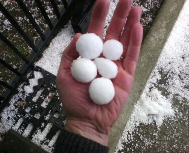 Some of the golf-ball-sized hailstones, collected at North Park Business Estate in Ashburton. Photo: Supplied