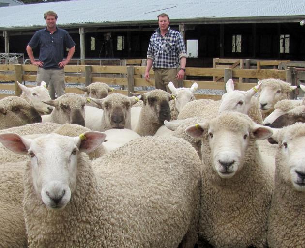 Cameron and Andrew Letham instigated the on-farm sale, at Hermiston, as a way to let buyers see all their rams hoggets for sale, rather than a select few.