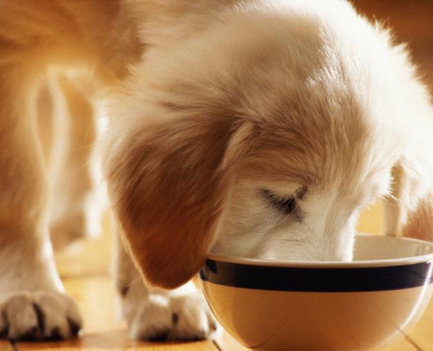 Alliance has formed a joint venture with Scales to tap into the booming pet food industry. Photo:...