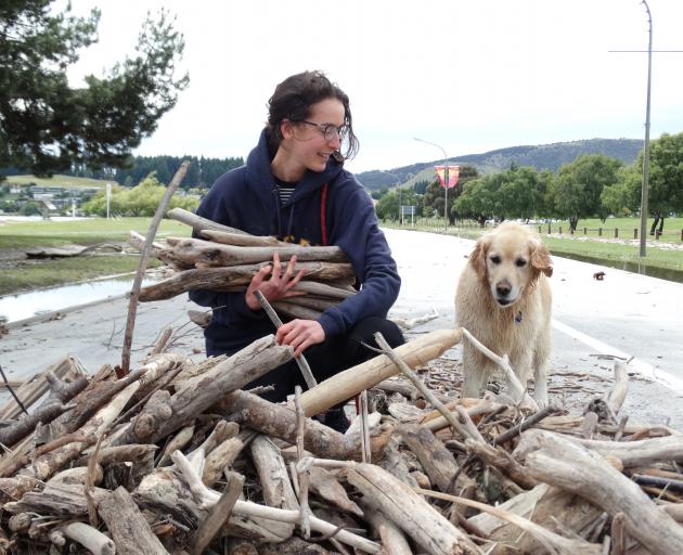 Stella Nepia, of Wanaka, and dog Ruby take some sticks away from the swathe of driftwood along...