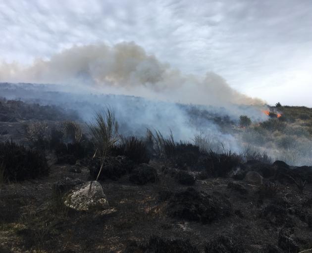 Tussock burns on the Pineapple Track earlier today. Photo: Gerard O'Brien