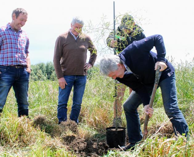 Agriculture Minister Damien O’Connor plants a tree to celebrate the Government’s investment in...