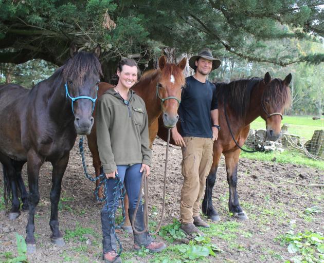 Three Kaimanawa horses and their humans, Jess Mullins and Bijmin Swart, are one month into their...