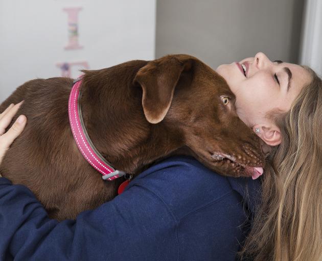 West Melton teen Maddie Collins is fighting kidney failure again.