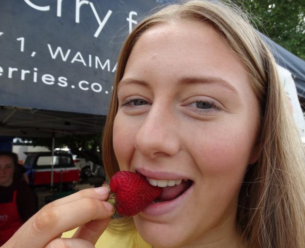 Brooke Tindall (16) of Waimate, samples a strawberry at Strawberry Fare in Waimate on Saturday....