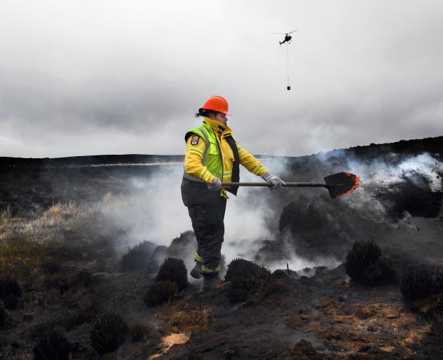Forestry worker and firefighter Thijs Aisi turns over smouldering ground on the Te Papanui conservation park fire last month. Photo: Stephen Jaquiery