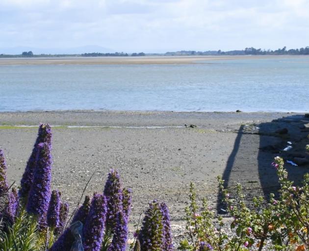  The Avon-Heathcote Estuary Ihutai Trust says their volunteers have done a great amount of work...