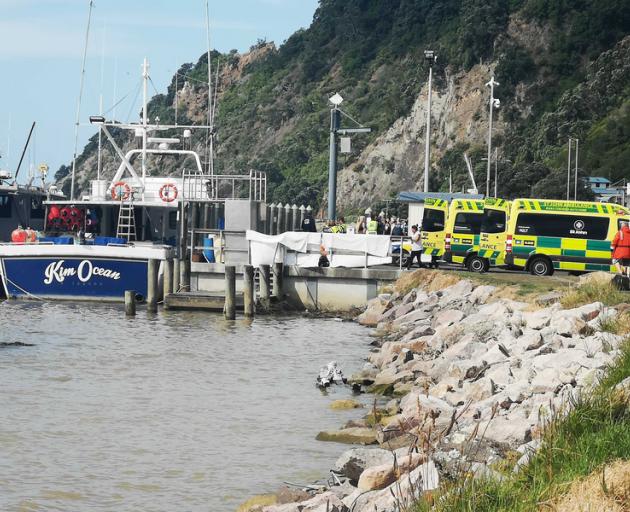 Emergency services are lining people up on wharf in stretchers. Workers have put up a white sheet to block the stretchers from the public. Photo: Katee Shanks