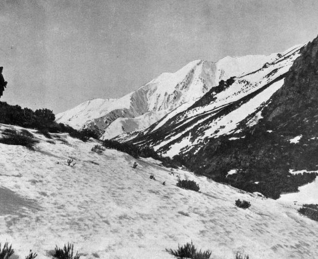 The snowfields at the head of the Wilkin Valley. — Otago Witness, 30.12.1919. 