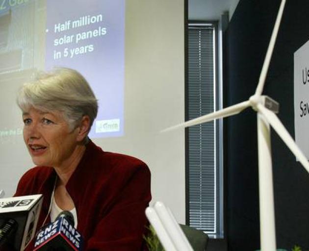 Shareholders, including former Green Party co-leader Jeanette Fitzsimons, have voted to liquidate...