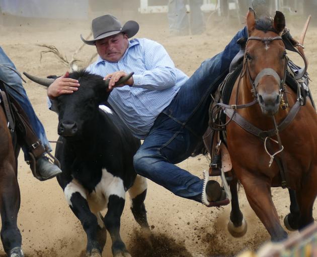 Micheal Nicholl, of Waitahuna, on his way to taking fourth place in the steer-wrestling event at...