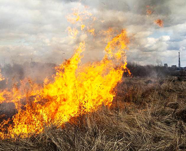 A grass fire in the Selwyn district. Photo: Supplied