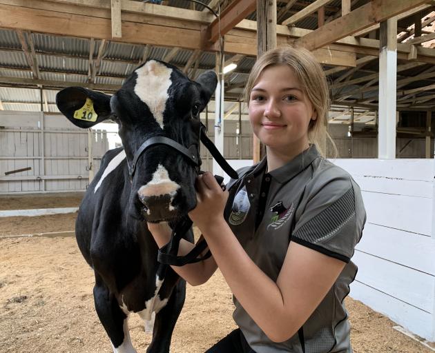 Winton teenager Chloe Thomson won a best-presented heifer award at the National All Dairy Breeds...