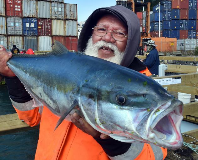 Wellington pastor Peter Tuisano holds a 11.34kg (25lb) kingfish he caught in Otago Harbour...