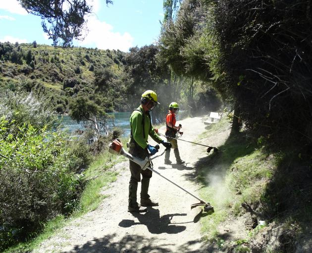 Doc seasonal rangers Scott Hall and Burgundy Reed cut back growth beside the Outlet Track along the Clutha River. Photos: Kerrie Waterworth