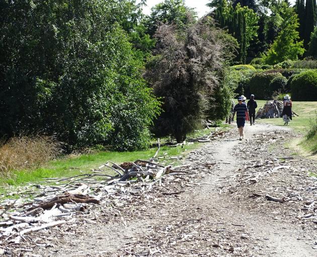 Holiday-home owner Keith Ingram, of Dunedin, walks his dog on the Bremner Bay Track.