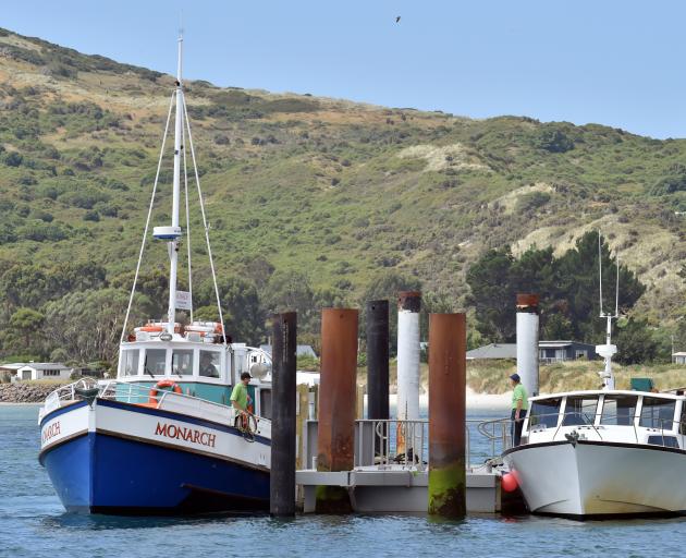 Monarch and Vivienne J float moored to the Wellers Rock pontoon, where the two black piles were driven in yesterday. Photo: Gerard O'Brien