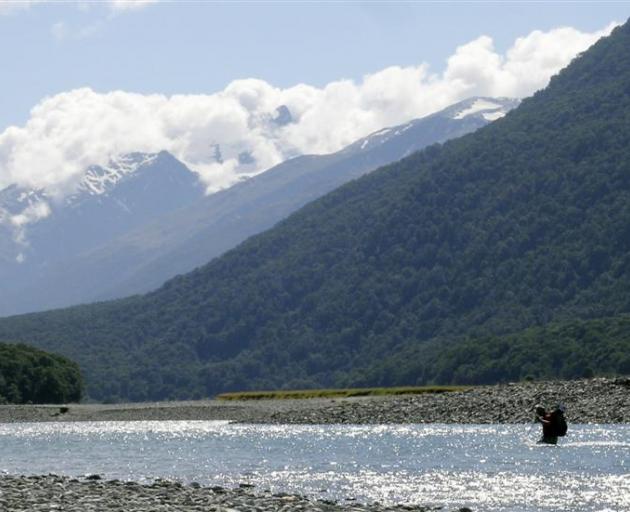 A tramper wades across the Makarora River, above the confluence with the Young River. Photo by ODT.