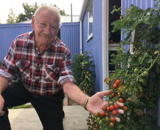 Bill Stewart’s garden is bursting with delectable goodness like these Sweet 100s tomatoes.
