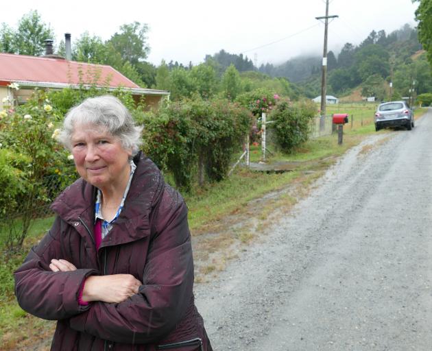 Wetherstons Rd resident Judith Tromp wants the Clutha District Council to address road dust problems caused by visitors to the Lawrence daffodils each spring. Photo: Richard Davison