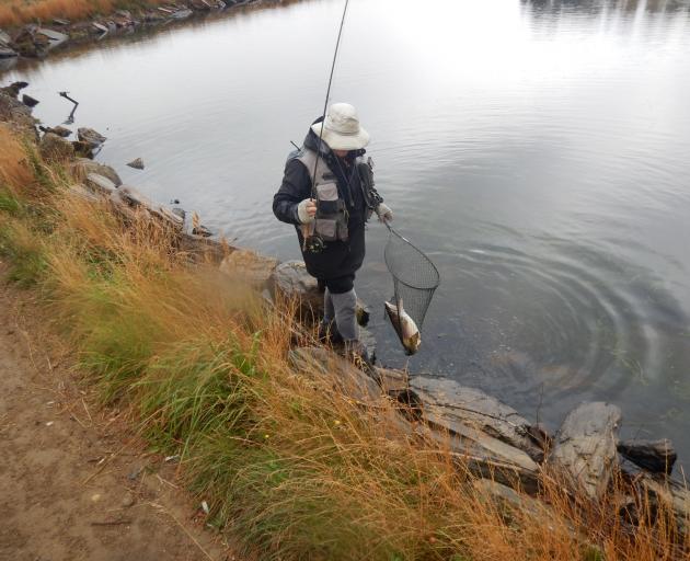 Murray Smart nets a 2.7kg rainbow at Blakely’s Dam. PHOTO: MIKE WEDDELL