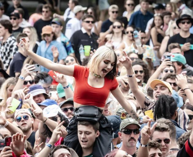 The crowd at Christchurch's Electric Avenue festival. Photo: Nick Paulsen