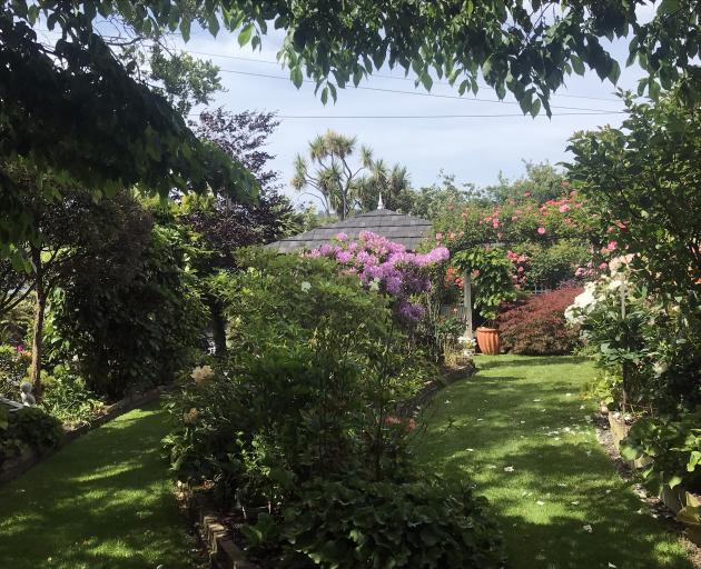 The garden has a cool look on hot days. Photos: Gillian Vine 