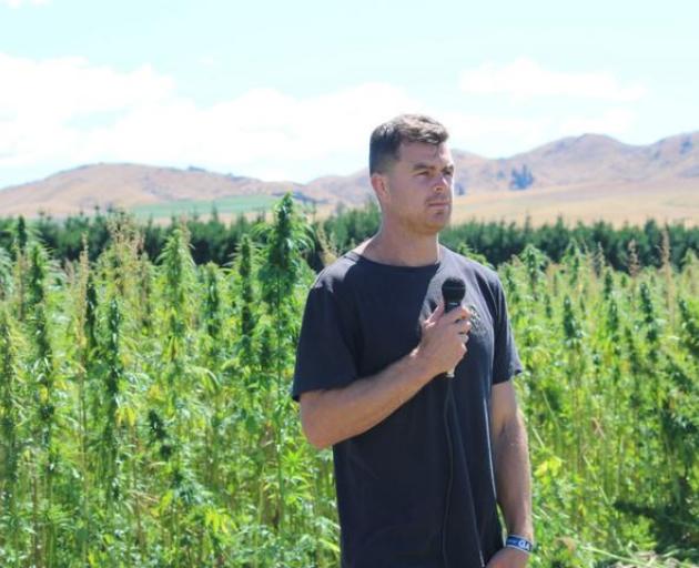 The Brothers Green co-founder Brad Lake speaking on a Culverden hemp farm. Photo: RNZ
