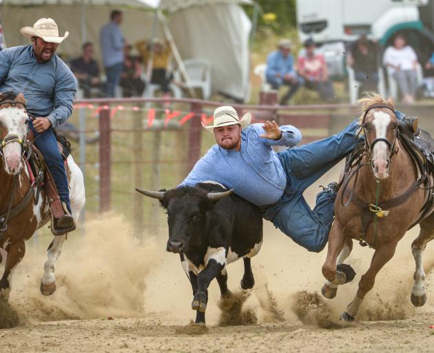 Rotorua competitor Cody Davis won the open steer wrestling competition at Southland Rodeo. PHOTO:...