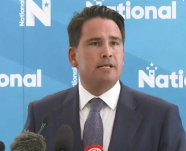 National Party leader Simon Bridges. Image: NZ Herald 