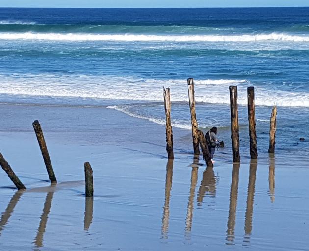 The St Clair poles in 2019 showing how much sand has been lost. PHOTO: JULES RADICH
