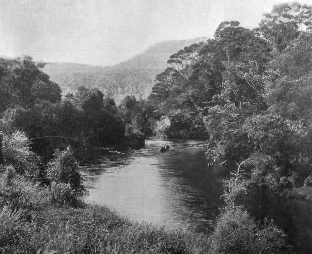 A picturesque view of the Tahakopa River, Catlins District, a spot favoured by anglers. — Otago...