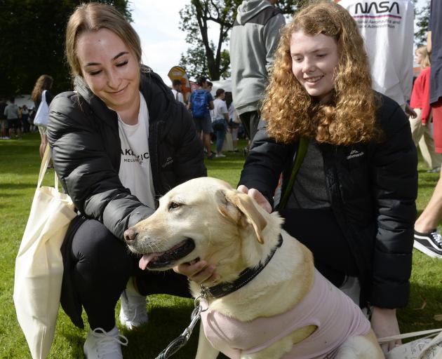 OUSA student support dog Ella, herself a rescue dog from South Africa, greets ecology and marine biology student Katelyn Dowling (19, left), of Whangarei and her friend, performing arts and education student Kayla Sullivan (18), of Auckland. Photo: Gregor