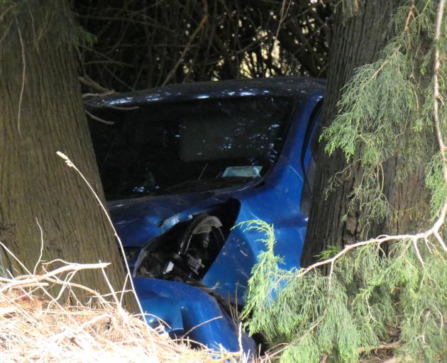 A crashed car sits among pine trees near Weka St, Makarora. Photo: Simon Henderson 