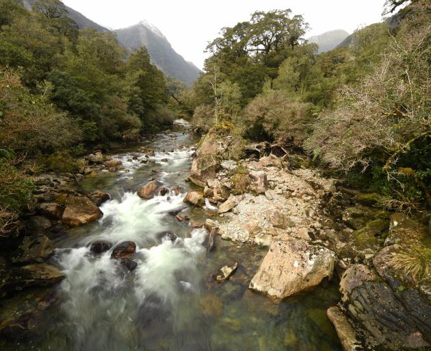 Manapouri power station surroundings. PHOTO: STEPHEN JAQUIERY