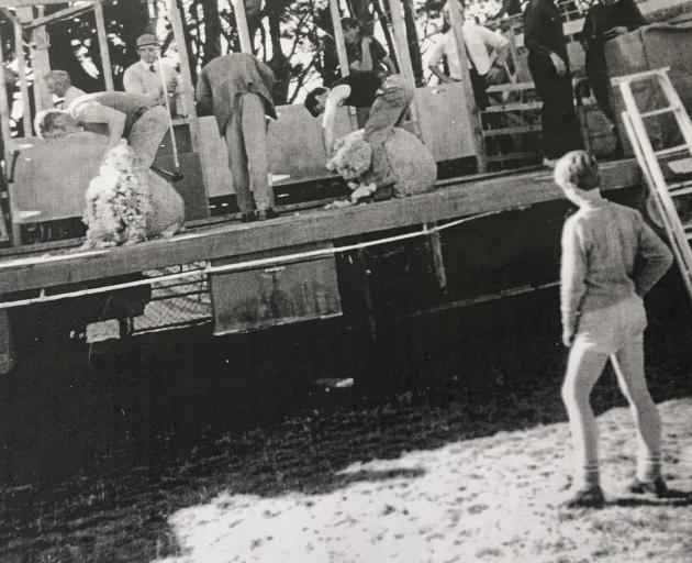 Roddy Moore competes in the first Oxford A&P Show shearing competition in 1971. Photo: Supplied by Roddy Moore