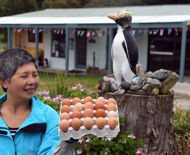 Surat Bay Lodge operator Esther Johnson’s yellow-eyed penguin statue casts an envious eye over...