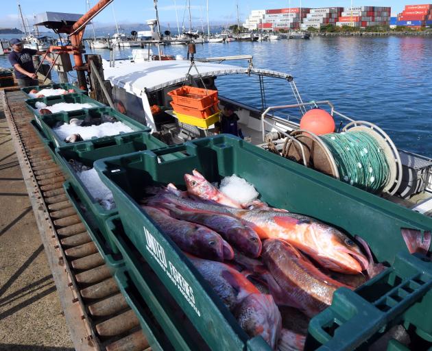 Leighton Kirk, an independent contractor who lands his fish to Harbour Fish, unloads fish at...
